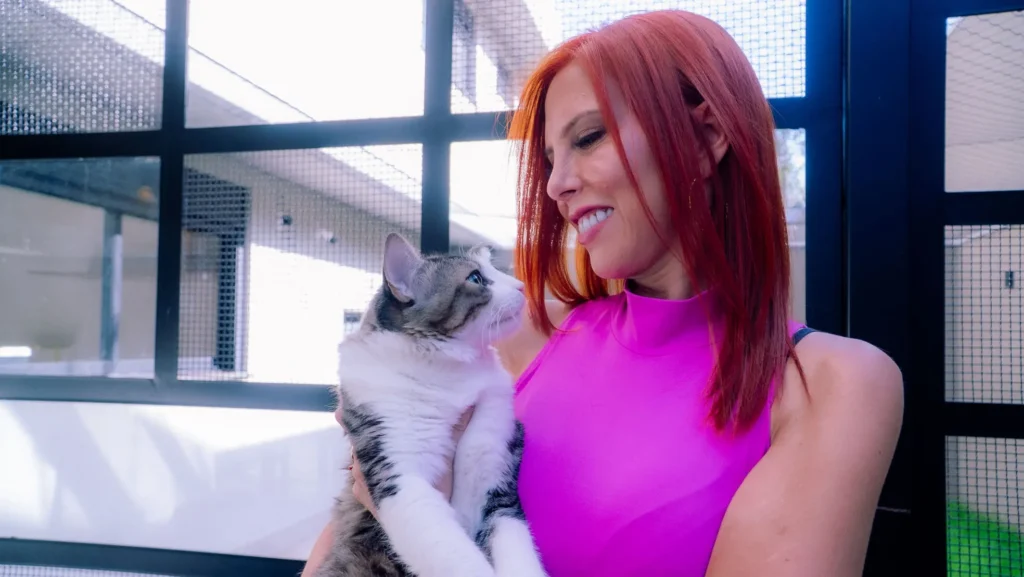 Cats-resort-pati_gonslaves_campo_grande-ms